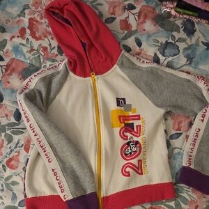 Disney Kids Hoodie - Red, Gray, Purple, Yellow